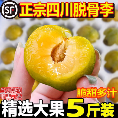 四川脆甜脱骨李子新鲜茵红