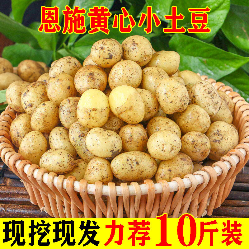 产地直发恩施农家新鲜蔬菜