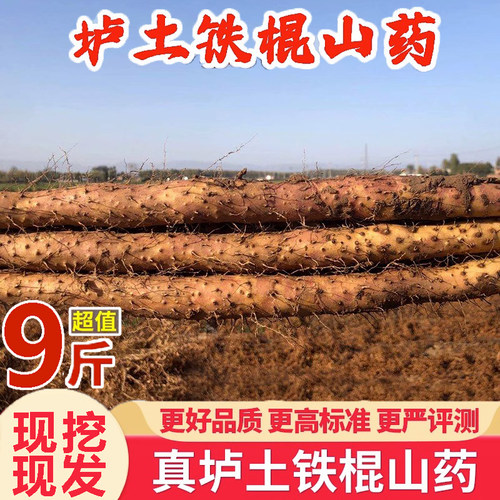 焦作温县垆土铁棍山药新鲜5斤