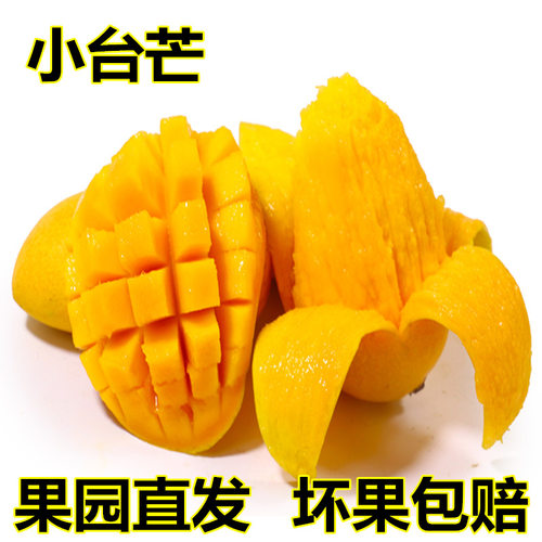 小台农鸡蛋芒价格 小台农鸡蛋芒图片 星期三