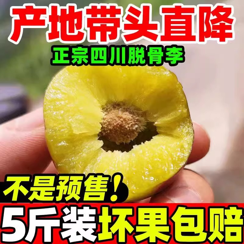 四川青脆李脱骨青李子新鲜水果现摘当季孕妇水果5斤大果整箱包邮