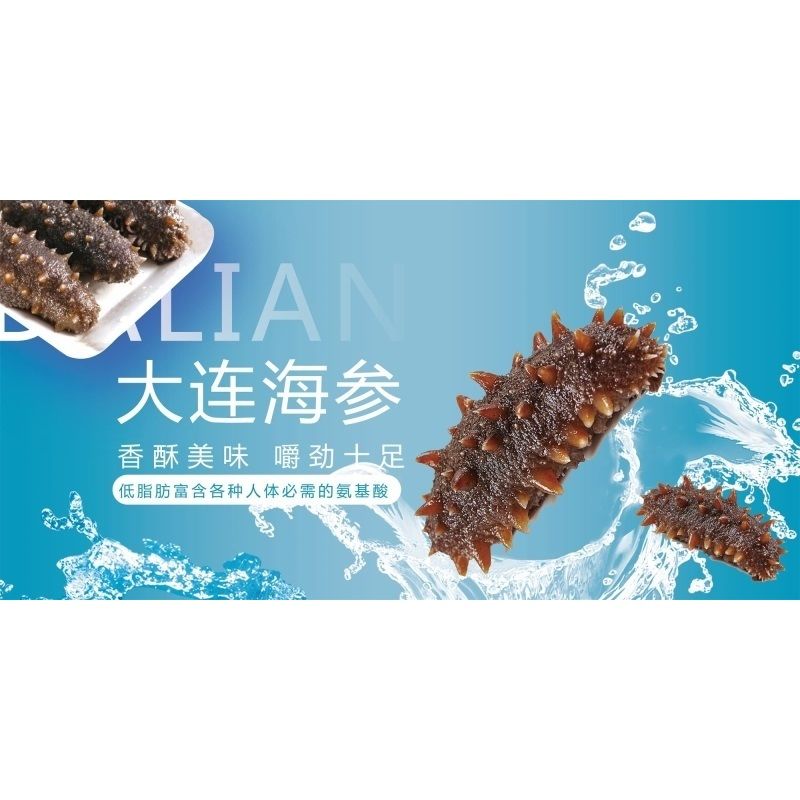 大连海参海报展板野生海参天然长岛淡干海参墙贴墙纸装饰画KT板