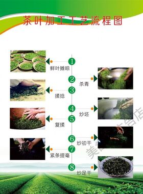 茶叶加工工艺流程图制茶步骤主题墙布置装饰画海报墙贴背胶定制画