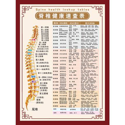 脊椎健康速查表人体脊柱相纸疾病示意图中医养生医学健康挂图海报