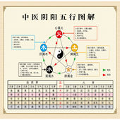 二十四节气养生图养生馆家里新款 饰贴画 贴墙节气养生图室内墙上装