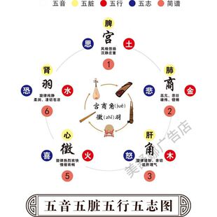 五音五脏五行五志图海报贴纸墙贴墙纸挂图海报装饰画展板