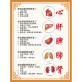 中医五脏养生挂图心肝脾肺肾文化挂画养生会所医院医馆装 饰图