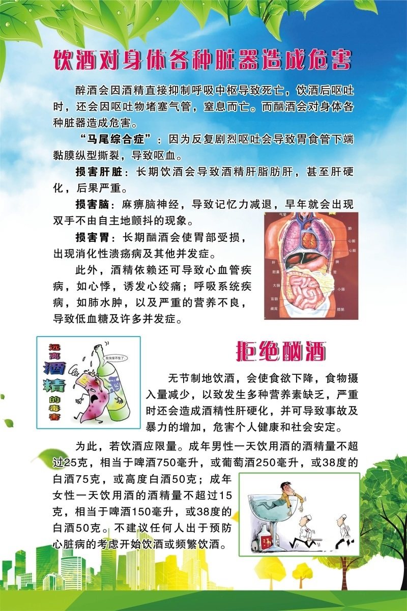 饮酒对身体各种脏器造成危害海报展板喝酒的危害墙贴墙纸装饰画