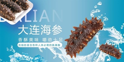 大连海参海报展板野生海参天然长岛淡干海参墙贴墙纸装饰画KT板