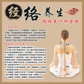 经络养生海报广告美容院养生馆装 饰画经络养生自粘贴画贴纸