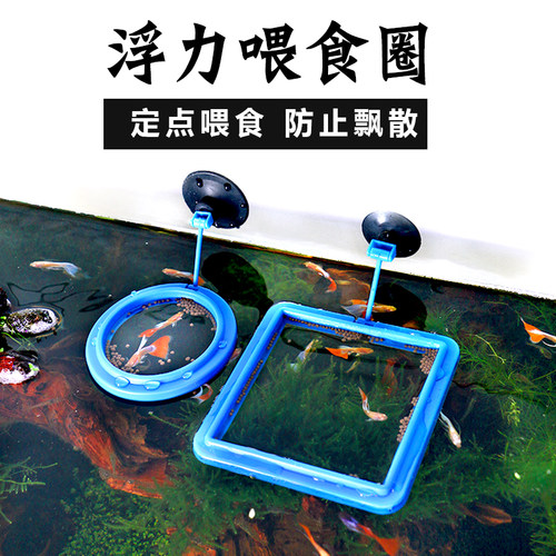 鱼缸喂食圈定点喂食器小型虾