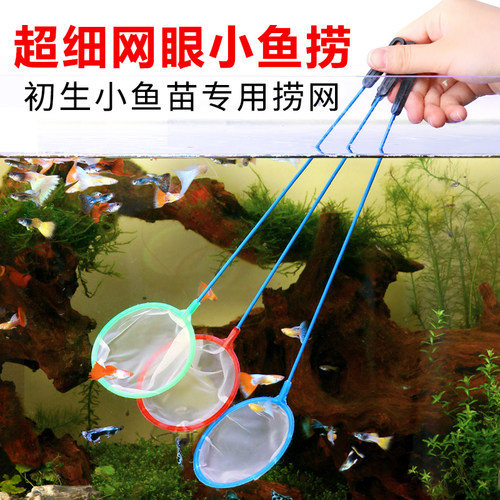 超密丰年水蚤虾苗捞鱼网
