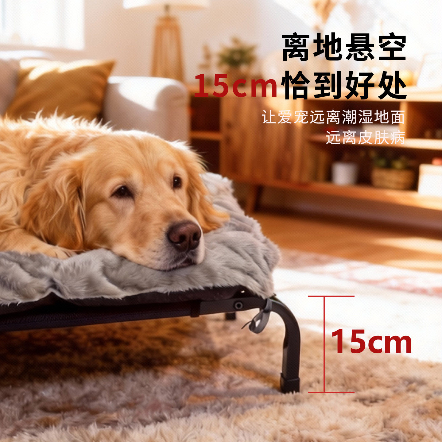 猫窝狗窝四季通用夏天狗垫子可拆洗宠物窝行军床大型犬离地狗狗床
