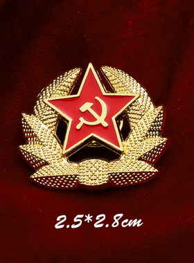 俄罗斯双头鹰徽章苏联镰刀锤子一级卫国勋章红色五角星金属胸针