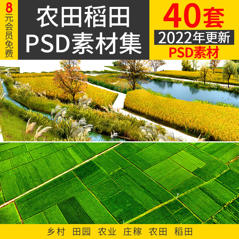 农田水稻田psd图片鸟瞰人视田野风光农业稻子庄稼ps後期素材