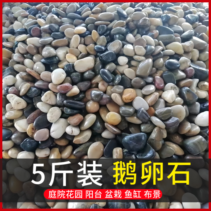 鹅卵石雨花石原石天然小石子鱼缸花盆鹅软石庭院装饰园艺五彩石头