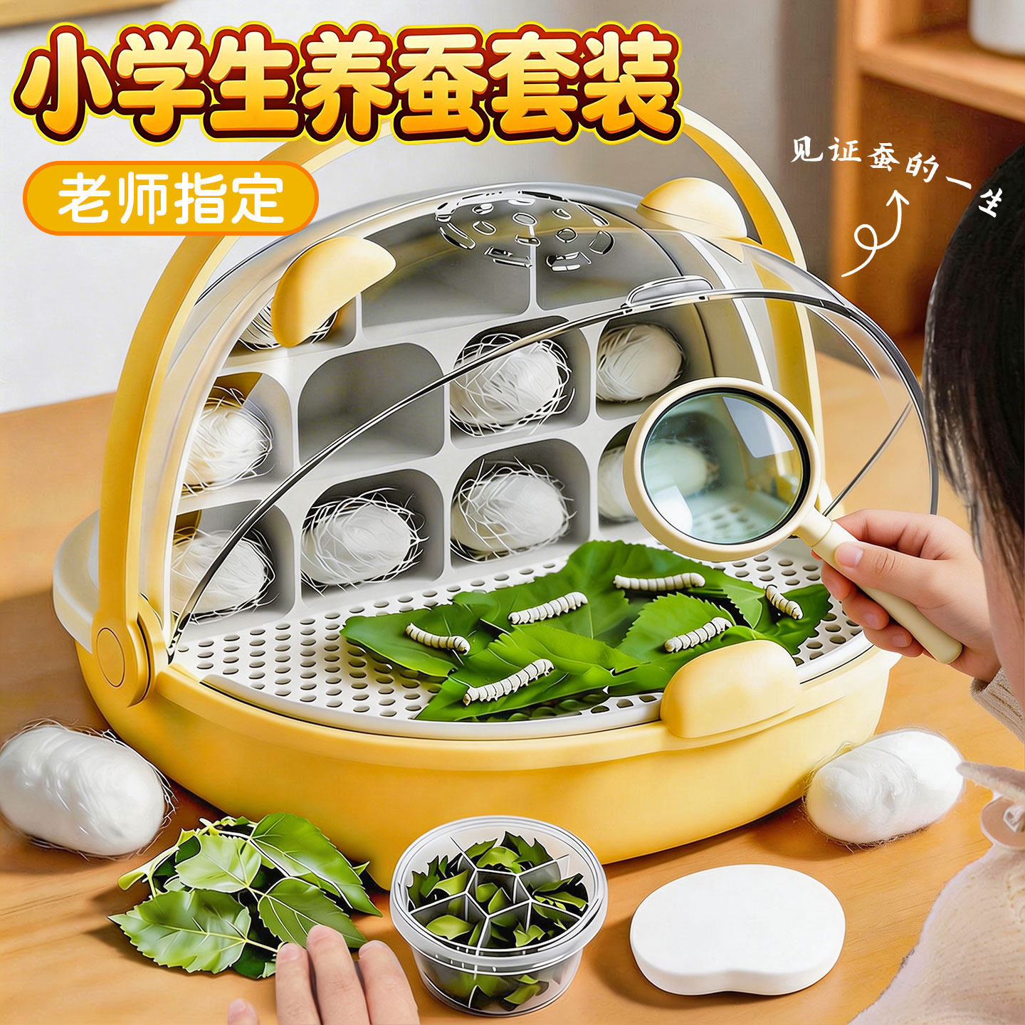 蚕宝宝学生养蚕套装春季彩色蚕宝宝幼虫卵饲养太空舱盒三年级下册