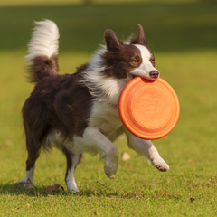 飞盘狗专用飞盘耐咬训犬软飞碟边牧金毛拉布拉多大中小型宠物玩具