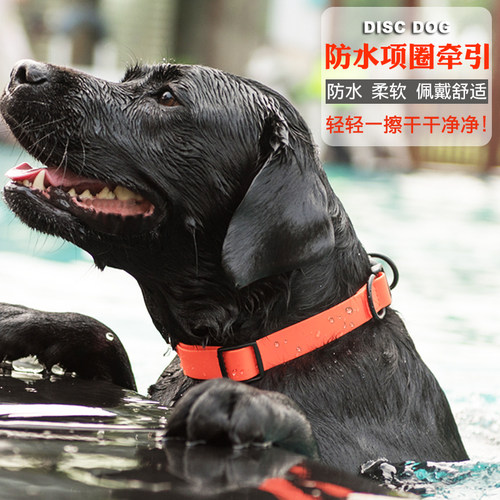 狗项圈可调节防水易清洁