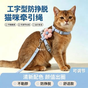阿比西尼亚专用猫咪牵引绳小猫宠物幼猫防挣脱外出背带超小号胸背