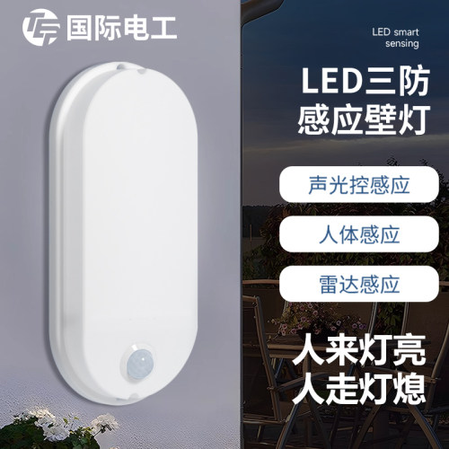 LED智能感应墙壁灯人体入户