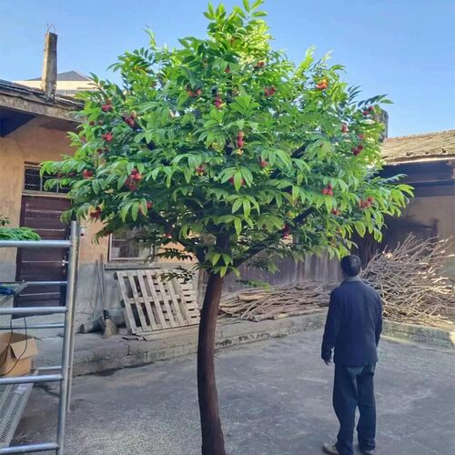 仿真假水果树荔枝苹柿子橘