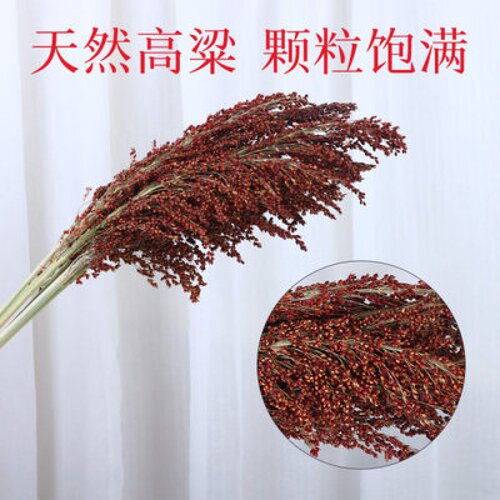 高粱农家乐场景布置五谷粮食干花