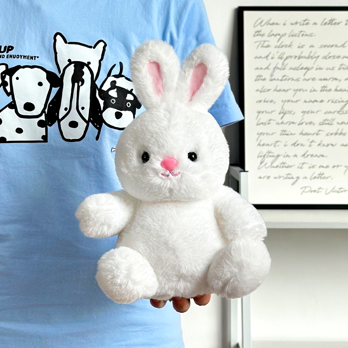 泰迪熊穿衣公仔棉花娃娃复旦大学