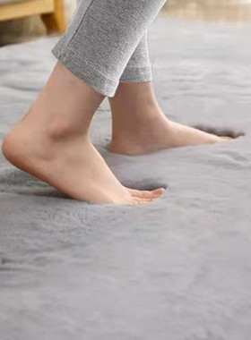 ins风加厚仿兔毛地毯客厅茶几毯长绒少女卧室满铺床边榻榻米地垫