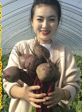 Fresh raw organic beetroot juice, sweet root vegetable, beet