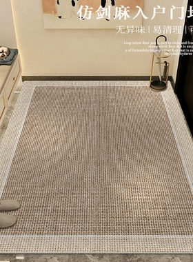 高级感别墅大门口入户门地垫家用轻奢防滑脚垫子进门玄关耐脏地毯