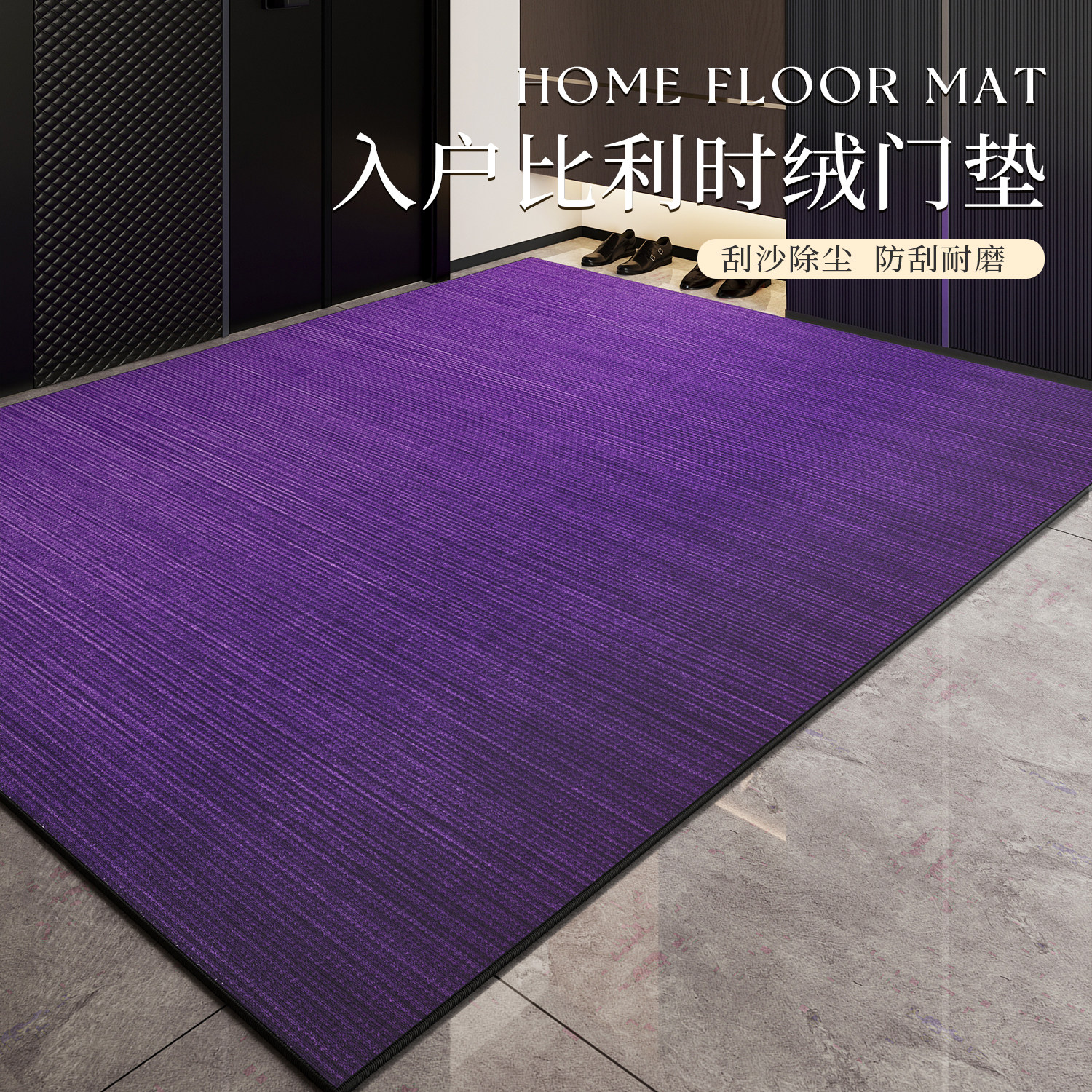 轻奢高级入户门地垫耐脏门口地毯