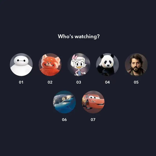 Disneyplus迪士尼plus 店内定制4k 通用自动发货