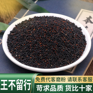 生王不留行中药材精选品质王不留行籽耳豆籽耳贴籽散装可代客磨粉