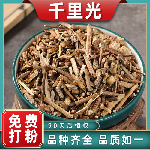 千里光500g中药材散装精选