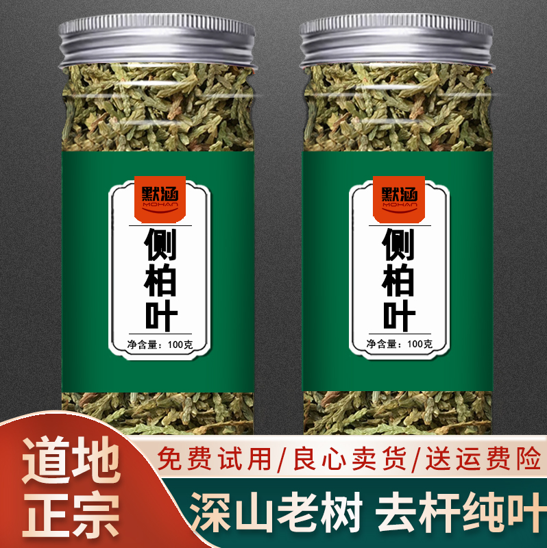 生侧柏叶中药材药用中草药材大全洗头发新鲜可搭当归桑叶可泡茶 传统滋补营养品 其他药食同源食品 原图主图