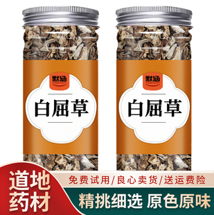 白屈草中药材丝茅草中草药材白茅草散装茹根可泡水白花茅根干货