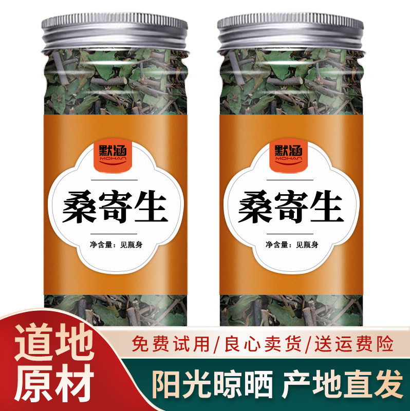 桑寄生中药材桑寄新鲜干货生桑寄生茶可打桑寄生粉新鲜中草药散装
