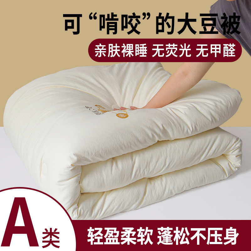 A类秋冬被棉被四季通用被芯