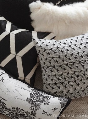 Texdream态度 现代轻奢沙发客厅抱枕黑白极简卧室样板间护腰靠垫