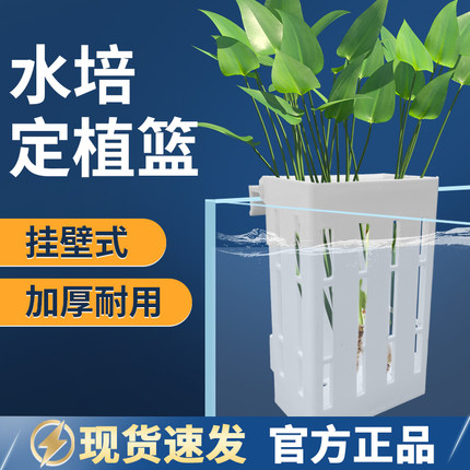 鱼缸水培定植篮壁挂式水草杯植物固定支架造景装饰配件小鹏说水族