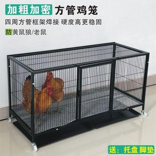 鸡笼养殖笼家用鸡笼子加密防黄鼠狼农村鸭笼鹅笼鸽子笼加厚方管笼