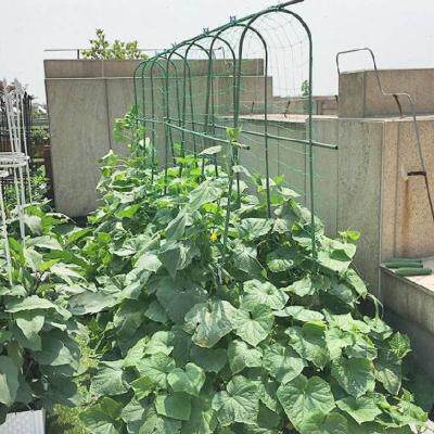 棚架北欧小型花棚架欧式铁艺爬藤架屋顶爬架豆角加固爬藤攀爬农i.