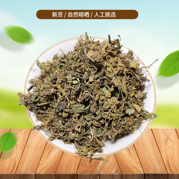 山间谷草 匍伏堇500g别名白地黄瓜,地白菜,野白菜,黄瓜香