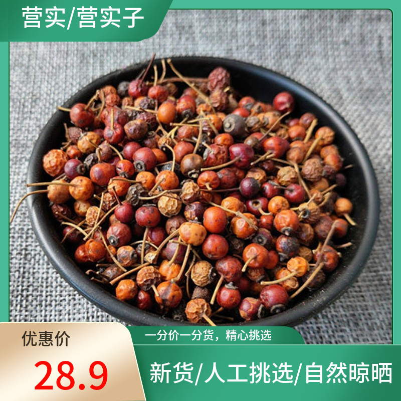 正宗 营实子500g 营实 蔷薇子 野蔷薇子 蔷薇子 非野生中药材