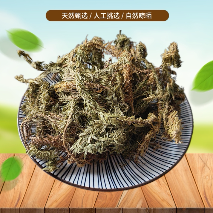 正宗 千层塔 500g 小叶千层塔 蛇交子 毛青杠 虱子草生扯拢中药材