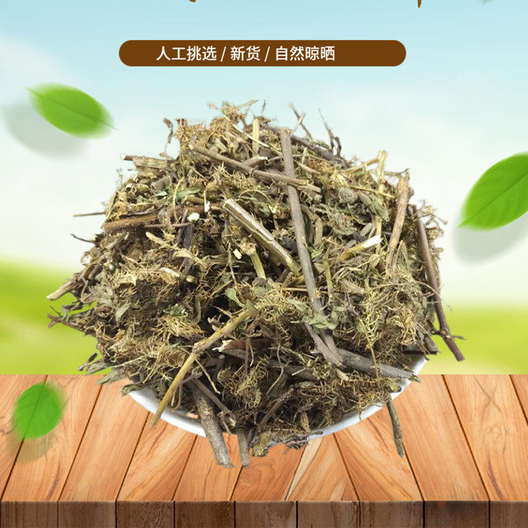 山间谷草 含羞草 500g 感应草 知羞草呼喝草怕丑草新货非中药材粉