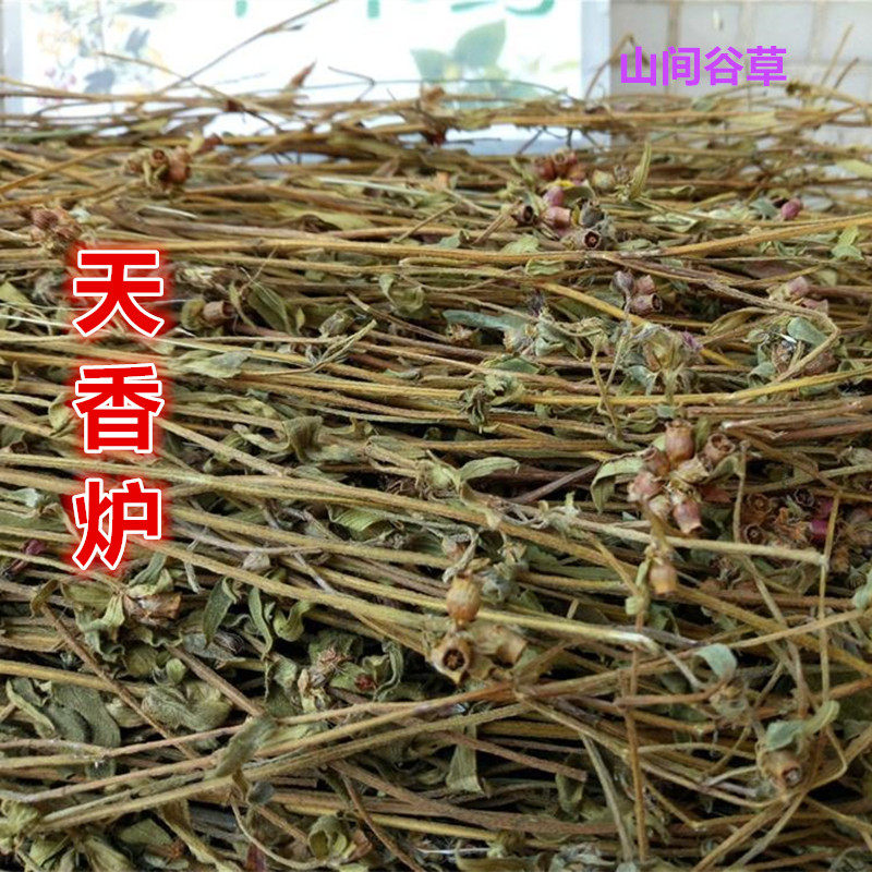 天香炉中药材大香炉 新货 500g克包邮 天吊香 仰天盅 仰天钟