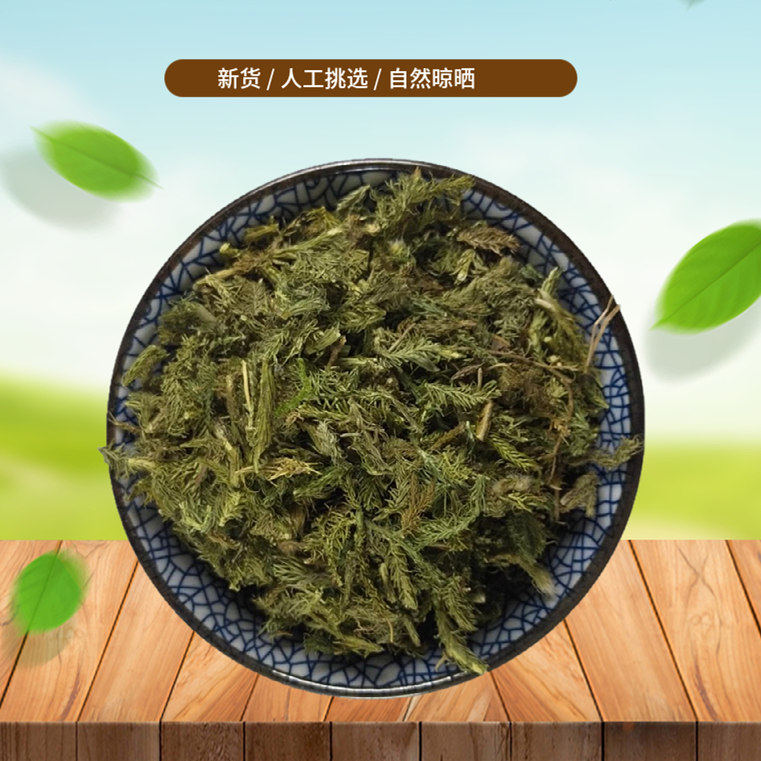 山间谷草   伸筋草500g伸筋草 另有配远志益智仁马尾牛尾菜