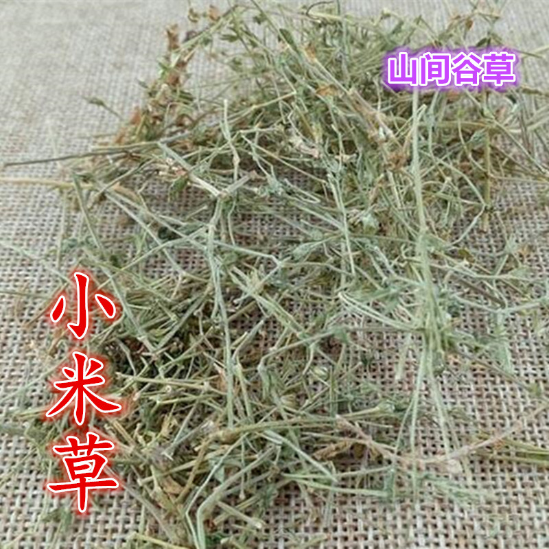 山间谷草  小米草 500g 小迷草 新鲜干货非野生中药材